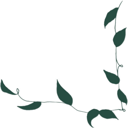 dessin de feuilles en angle